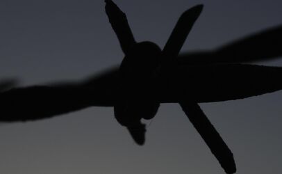 KARLOS BEFORE THE LAW