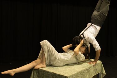 HUMMINGBIRD (KOLIBŘÍK)
